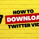 How to Download Twitter Videos 2024